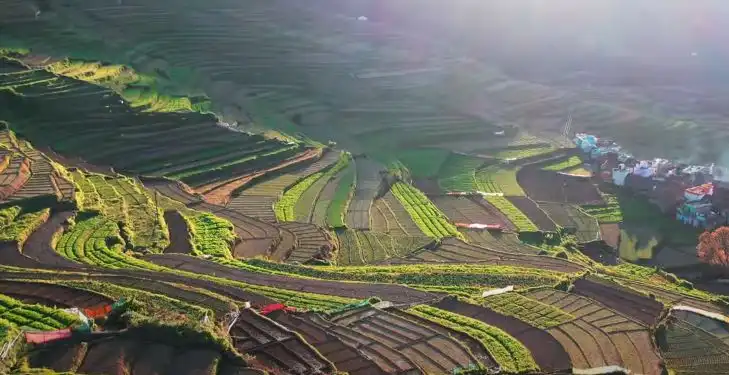 Classic Countryside Safari